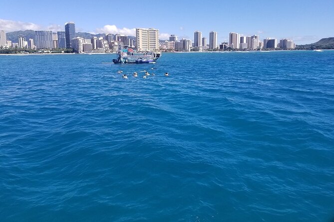 12pm Turtle Canyon Snorkel Adventure - Who should book this Turtle Canyon tour?