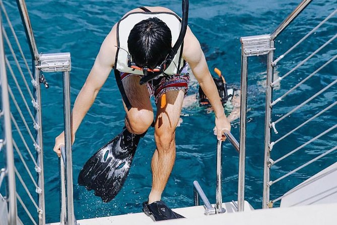 12pm Turtle Canyon Snorkel Adventure - What the guided snorkel feels like