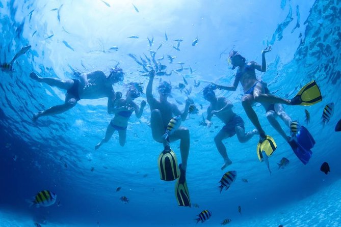 2.5 Hour Xpress Snorkel from Ka’anapali Beach - Why this 2.5-hour Maui snorkel works so well