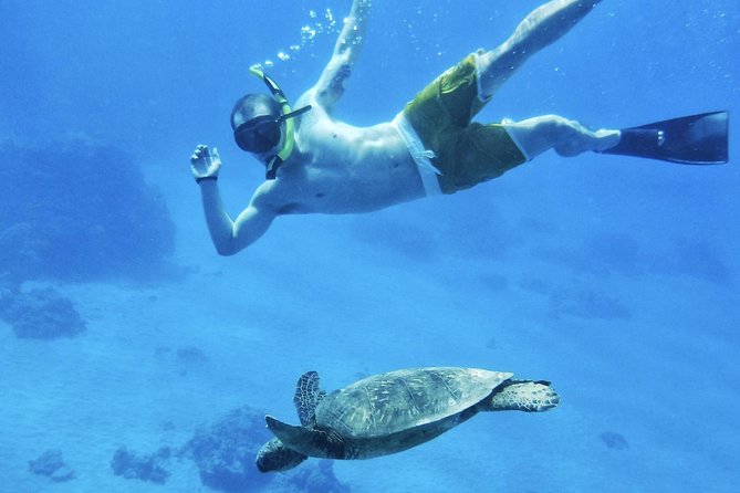 2.5 Hour Xpress Snorkel from Ka’anapali Beach - The short ride to Mala Wharf