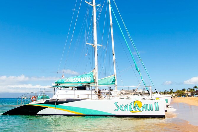 2.5 Hour Xpress Snorkel from Ka’anapali Beach - Time in the water, not time on the boat