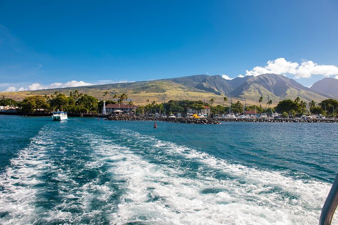 2-Hour Oahu Whale Watch from Ala Wai Harbor, Waikiki - Learning to read a humpback sighting