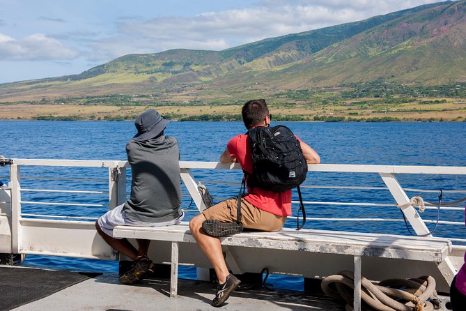 2-Hour Oahu Whale Watch from Ala Wai Harbor, Waikiki - Wildlife beyond the whales