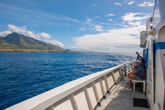 2-Hour Oahu Whale Watch from Ala Wai Harbor, Waikiki - Who gets the most value from this cruise
