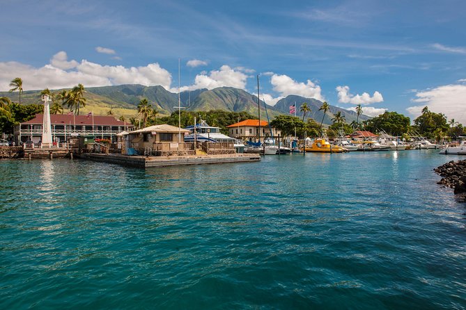 2-Hour Oahu Whale Watch from Ala Wai Harbor, Waikiki - What the two-hour route shows you