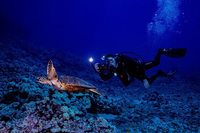 2 Tank Lanai Cathedral Scuba Dive Via Boat for Certified Divers - Entering the Cathedrals on the second session