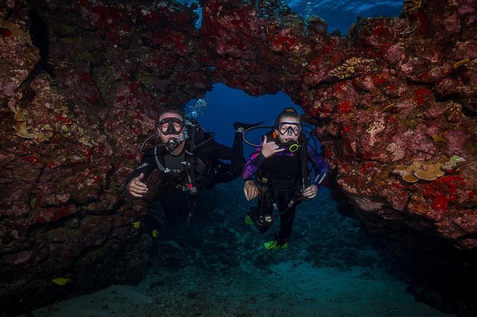 2 Tank Lanai Cathedral Scuba Dive Via Boat for Certified Divers - The guides and group setup