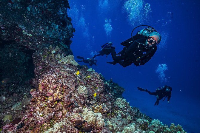 2 Tank Lanai Cathedral Scuba Dive Via Boat for Certified Divers - Fitness, certification, and practical limits