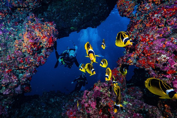 2 Tank Lanai Cathedral Scuba Dive Via Boat for Certified Divers - What the first underwater session is like
