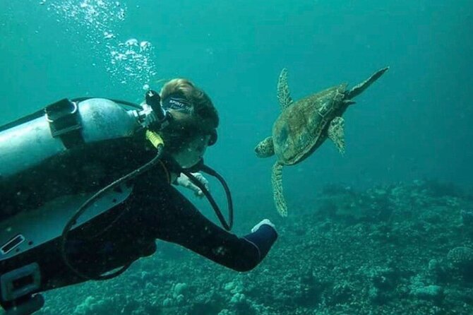2 Tank Shore Dive at Sea Turtle Cove - Getting ready for the first tank