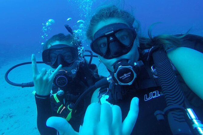 2 Tank Shore Dive at Sea Turtle Cove - Who will get the most from this outing