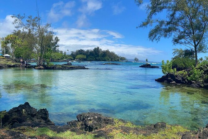2 Tank Shore Dive at Sea Turtle Cove - Should you book the Sea Turtle Cove outing?