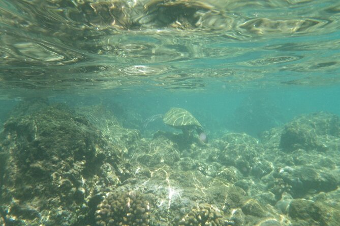 3.5 Hour Kailua-Kona Ocean Kayak and Snorkel Tour - Fitness, comfort, and rough-water limits