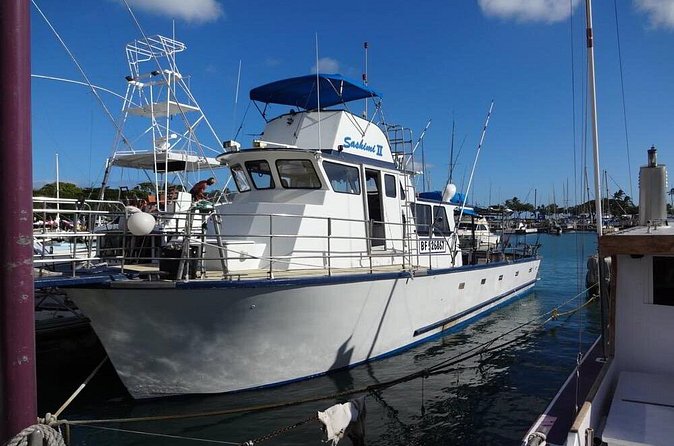 3-Hour Honolulu Bottom Fishing Adventure - The Honolulu views are part of the catch