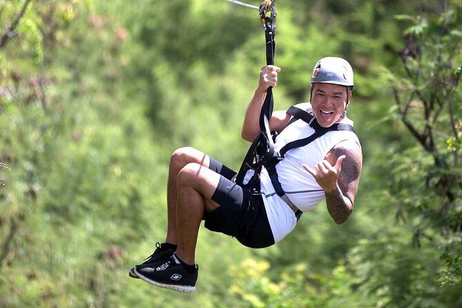 3 Zipline Adventure at Coral Crater with Optional Waikiki Shuttle - Three ziplines at Coral Crater: the basic idea