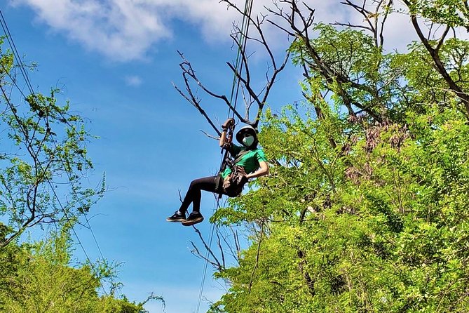 3 Zipline Adventure at Coral Crater with Optional Waikiki Shuttle - Why the guides matter so much