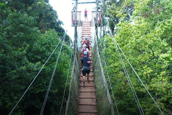 6 Dual-Zipline Mountain Adventure in Maui - Price, group size, and overall value