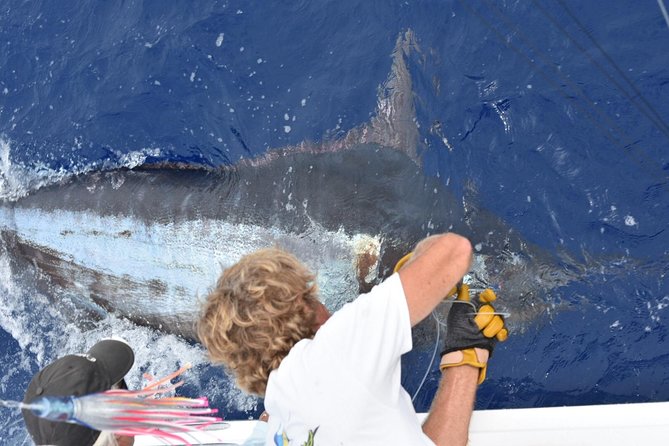 6 Hour Fishing Charter - Key points to know before you book