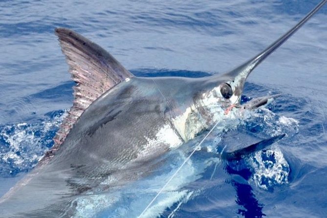 6 Hour Fishing Charter - Leaving Kailua-Kona at 6:30 am