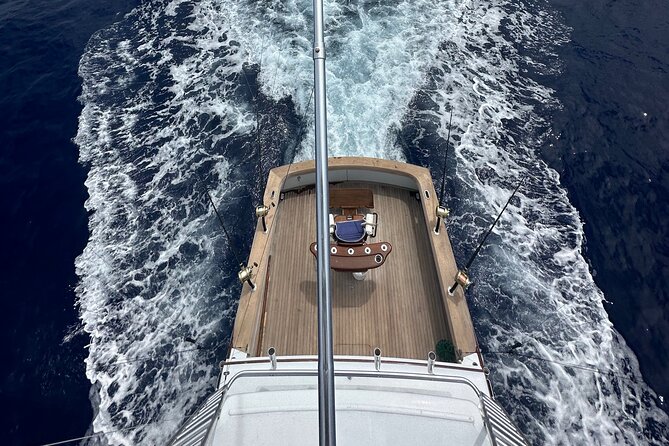 6 Hour Fishing Charter - Choosing between marlin, tuna, wahoo, and Aku