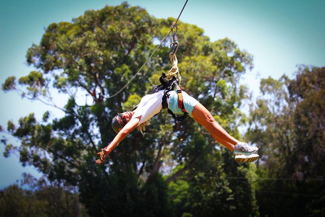 7-Line Maui Zipline on the North Shore - Seven lines, a bridge, and aerial challenges