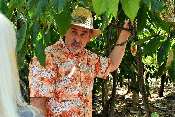 Award Winning Farm Tour: Coffee, Chocolate and Unique Gifts - Arriving above Kona at 1,200 feet
