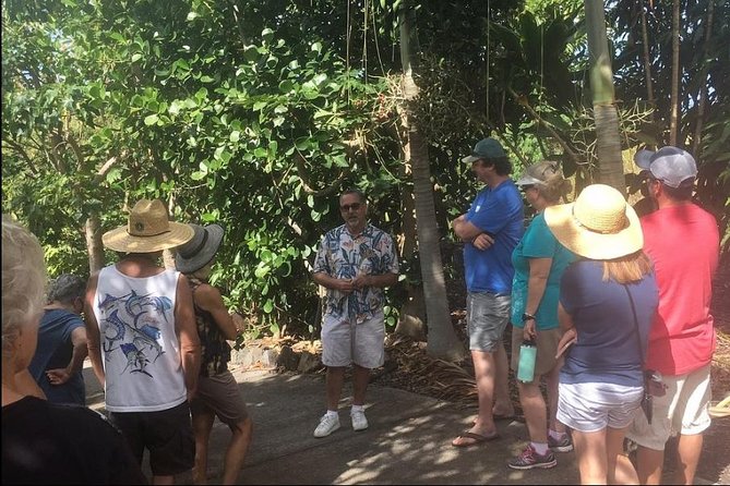 Award Winning Farm Tour: Coffee, Chocolate and Unique Gifts - Walking through a working coffee and cacao farm