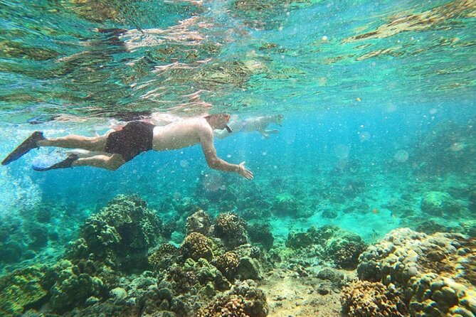 Beach Snorkel - Sea Turtle and Black Sand Lagoon - Key points to know before you book