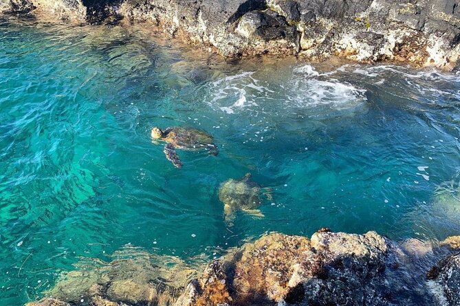 Beach Snorkel - Sea Turtle and Black Sand Lagoon - What the Hilo shore-snorkeling trip is really like