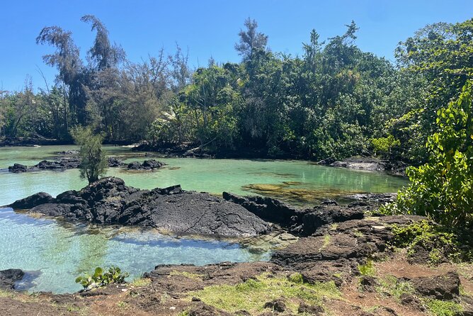 Beach Snorkel - Sea Turtle and Black Sand Lagoon - Gear, snacks, and transport included