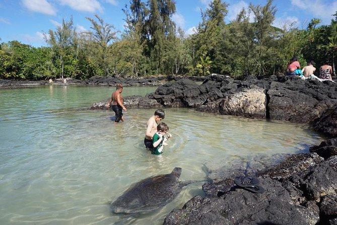 Beach Snorkel - Sea Turtle and Black Sand Lagoon - How to make the most of the three hours