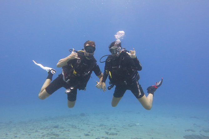 Beginner Scuba Dive in Lahaina: Swimming Required - Why the instructors matter so much