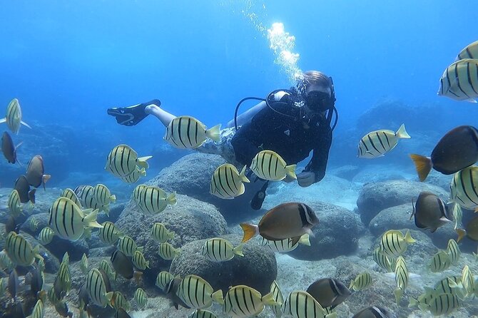 Beginner Scuba Diving Experience with Video Package in Honolulu - A gentle first step into scuba