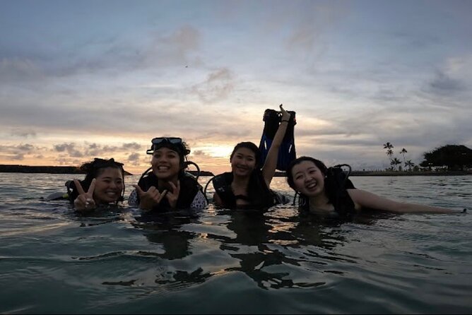 Beginner Scuba Diving Experience with Video Package in Honolulu - The underwater portion: modest in scale, rewarding in feel