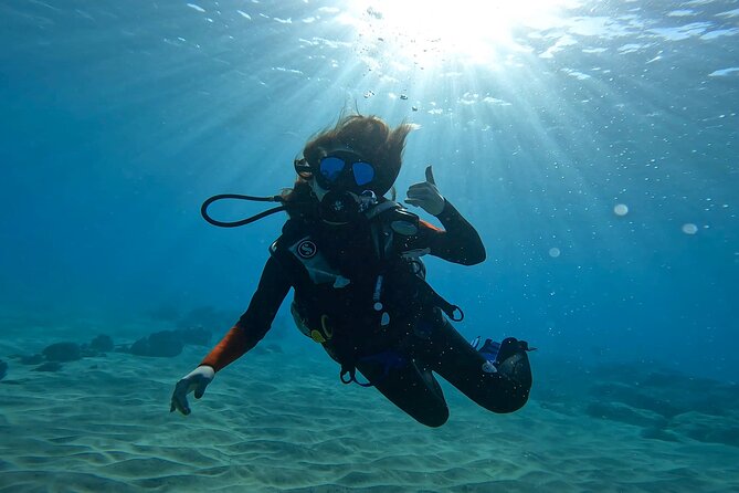 Beginner Scuba Diving Experience with Video Package in Honolulu - The included video is more useful than a souvenir photo