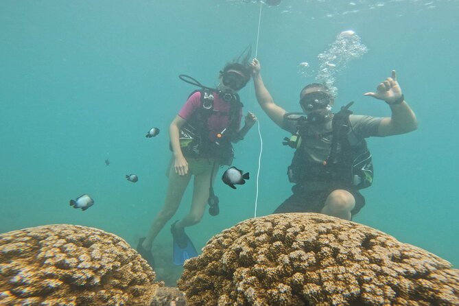 Beginner Scuba Diving Experience with Video Package in Honolulu - Who should book this experience