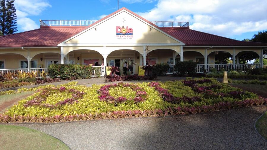 Best of Oahu in One Day - Key points to know before booking