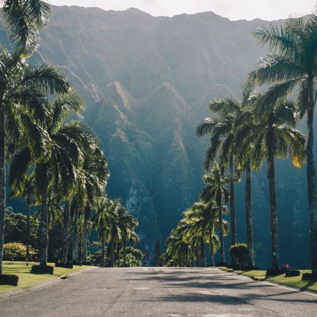 Best of Oahu in One Day - Lunch, Haleiwa, and the sweet side of the North Shore