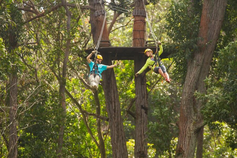 Big Island: 3-Hour Kohala Canopy Zipline Adventure - Why Kohala is a good setting for a zipline tour