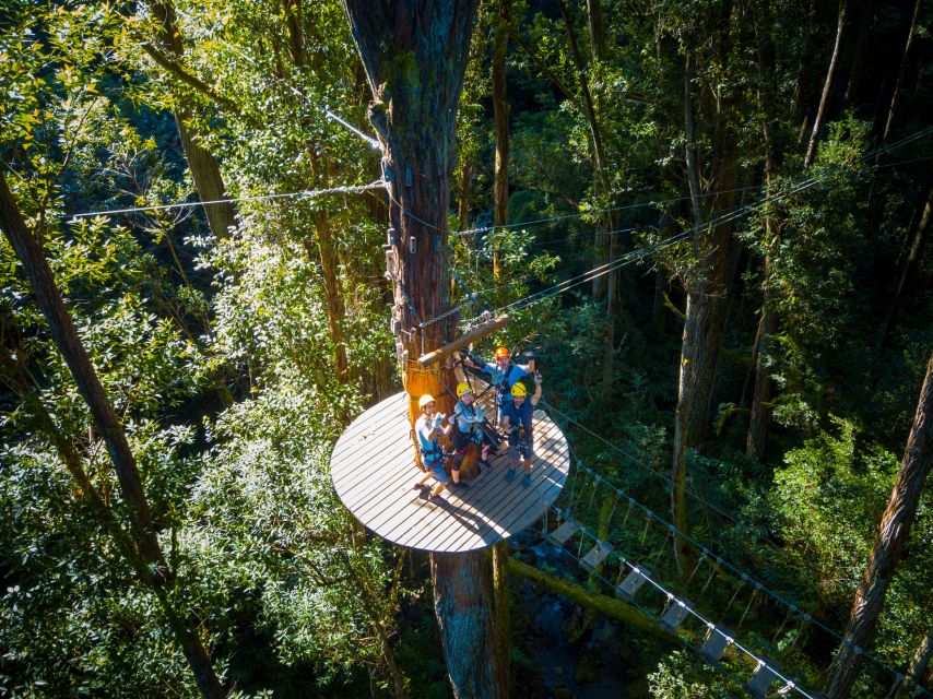 Big Island: 3-Hour Kohala Canopy Zipline Adventure - Eight lines, six bridges, and a forest trek