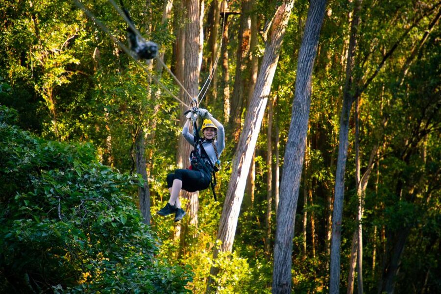Big Island: 3-Hour Kohala Canopy Zipline Adventure - What the guides add to the experience