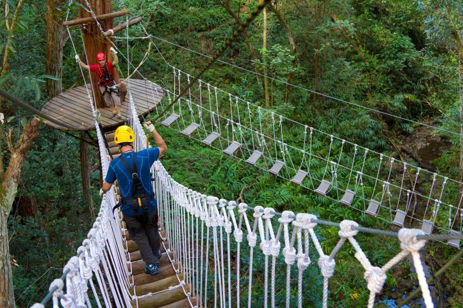 Big Island: 3-Hour Kohala Canopy Zipline Adventure - The final rappel back to ground
