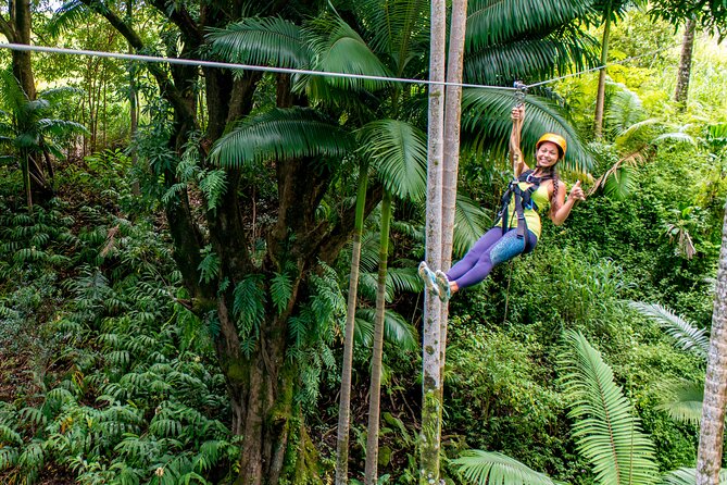 Big Island: 8-Zipline & Suspension Bridge Waterfall Adventure - Key points to know before you book