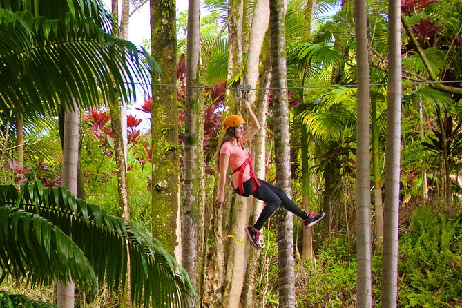 Big Island: 8-Zipline & Suspension Bridge Waterfall Adventure - What the 2.5-hour outing feels like