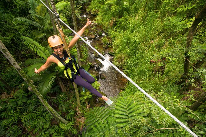 Big Island: 8-Zipline & Suspension Bridge Waterfall Adventure - Is $237.70 a good value?