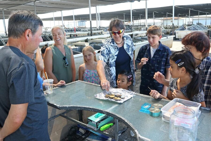 Big Island: Abalone Farm Guided Tour with Tasting - The opening talk on deep-water research and abalone