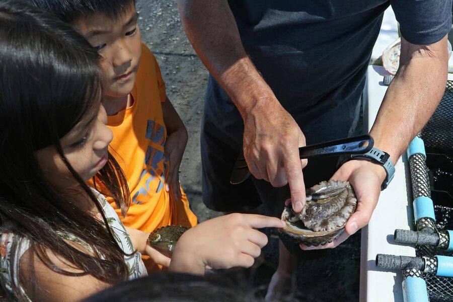 Big Island: Abalone Farm Guided Tour with Tasting - The organic dulse tanks