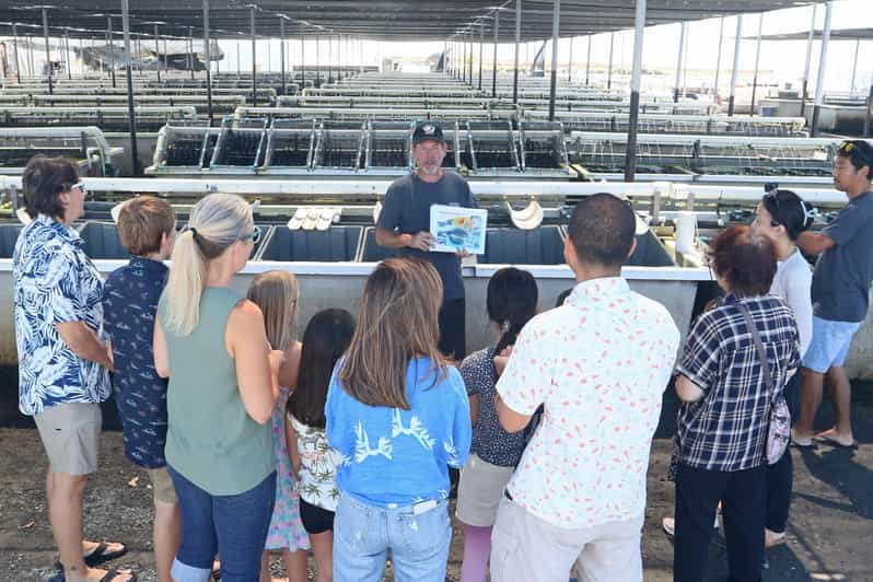 Big Island: Abalone Farm Guided Tour with Tasting - Who will enjoy this hour most