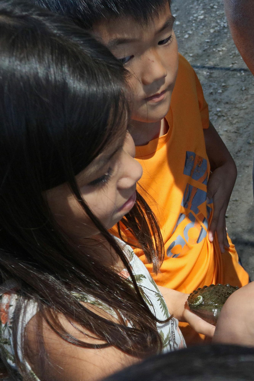 Big Island: Abalone Farm Guided Tour with Tasting - A few practical tips before you go