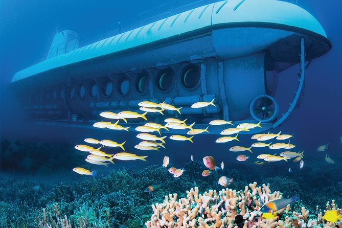 Big Island: Atlantis Submarine from Kona Beach - The guide’s commentary is part of the experience
